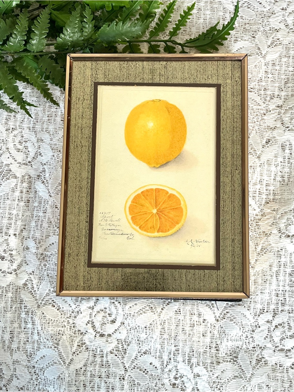 Vintage Solid Brass Framed Lemon Decor 5x7